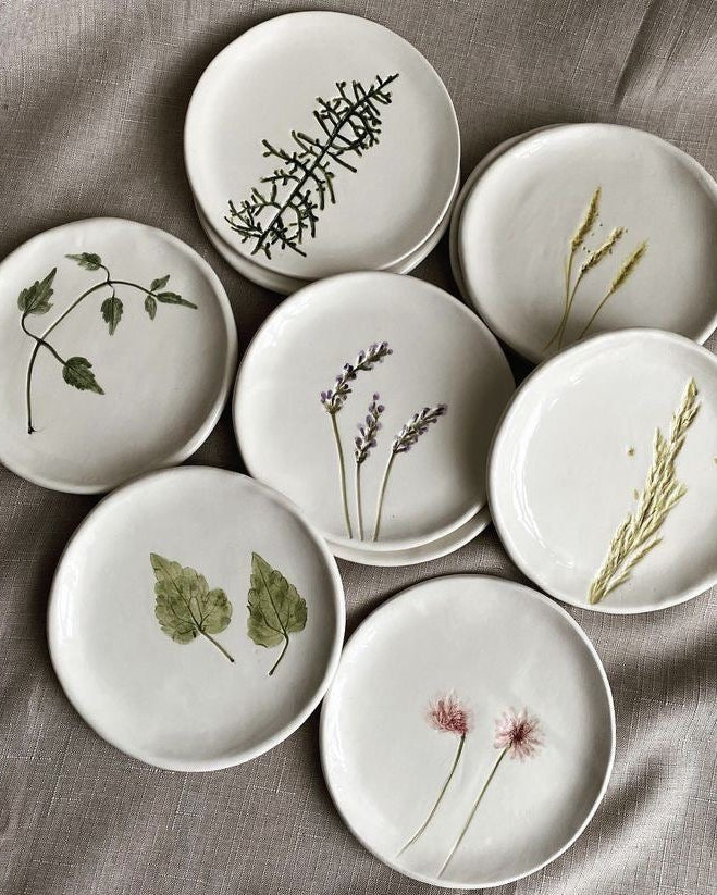 Herbarium in Clay (July 11, Saturday at 15:00)