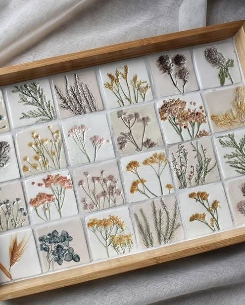 Herbarium in Clay (July 11, Saturday at 15:00)