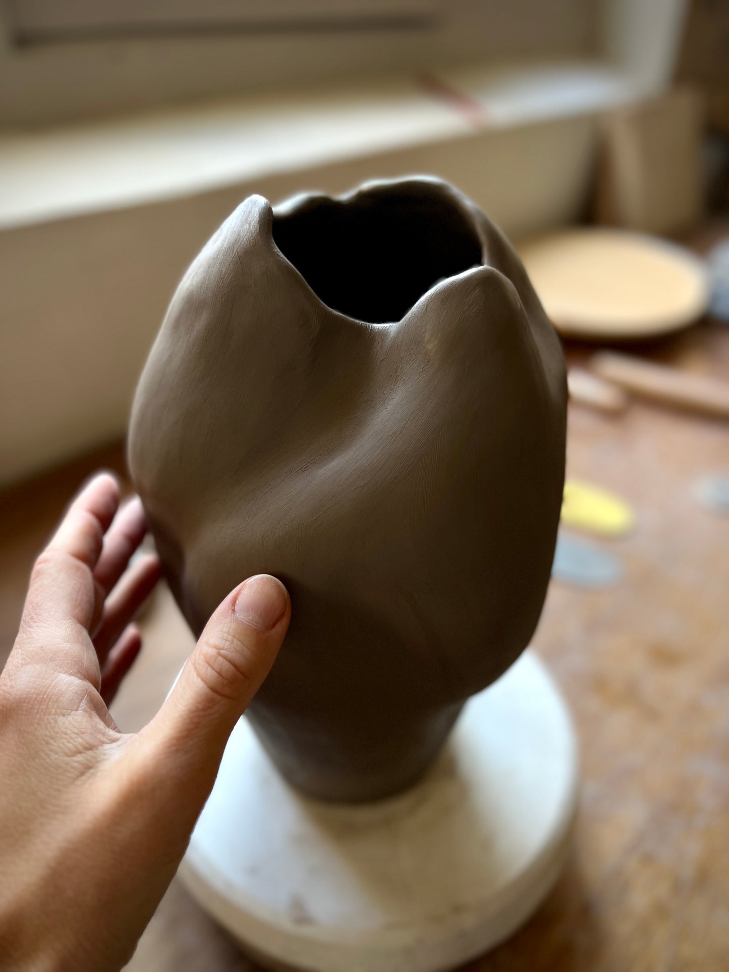 Handbuilt Vase Workshop (January 31, Saturday at 11:00)