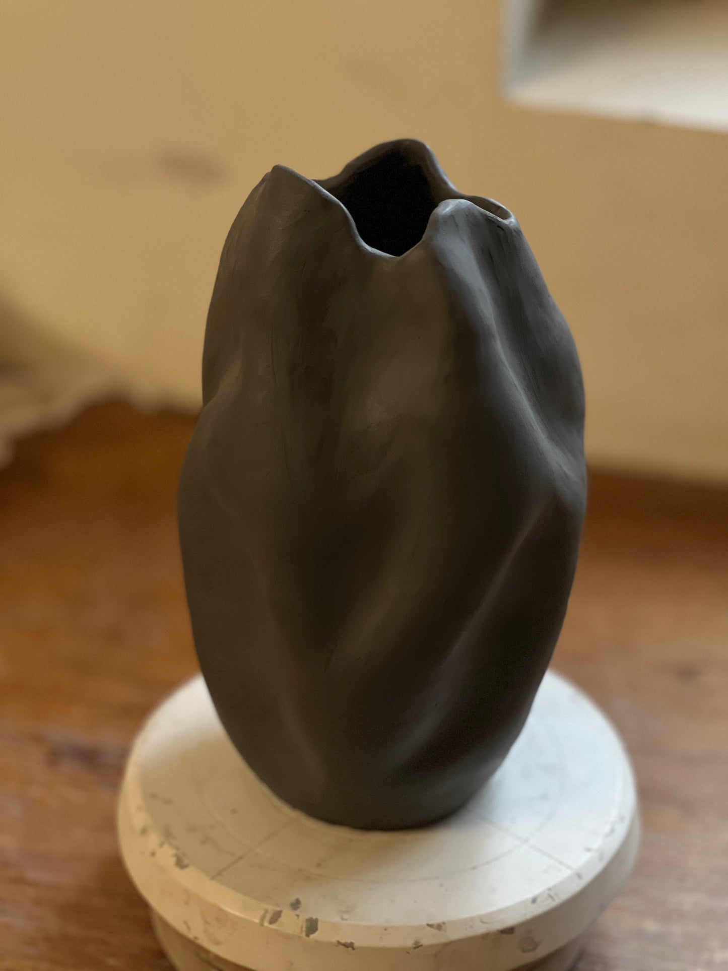 Handbuilt Vase Workshop (January 31, Saturday at 11:00)